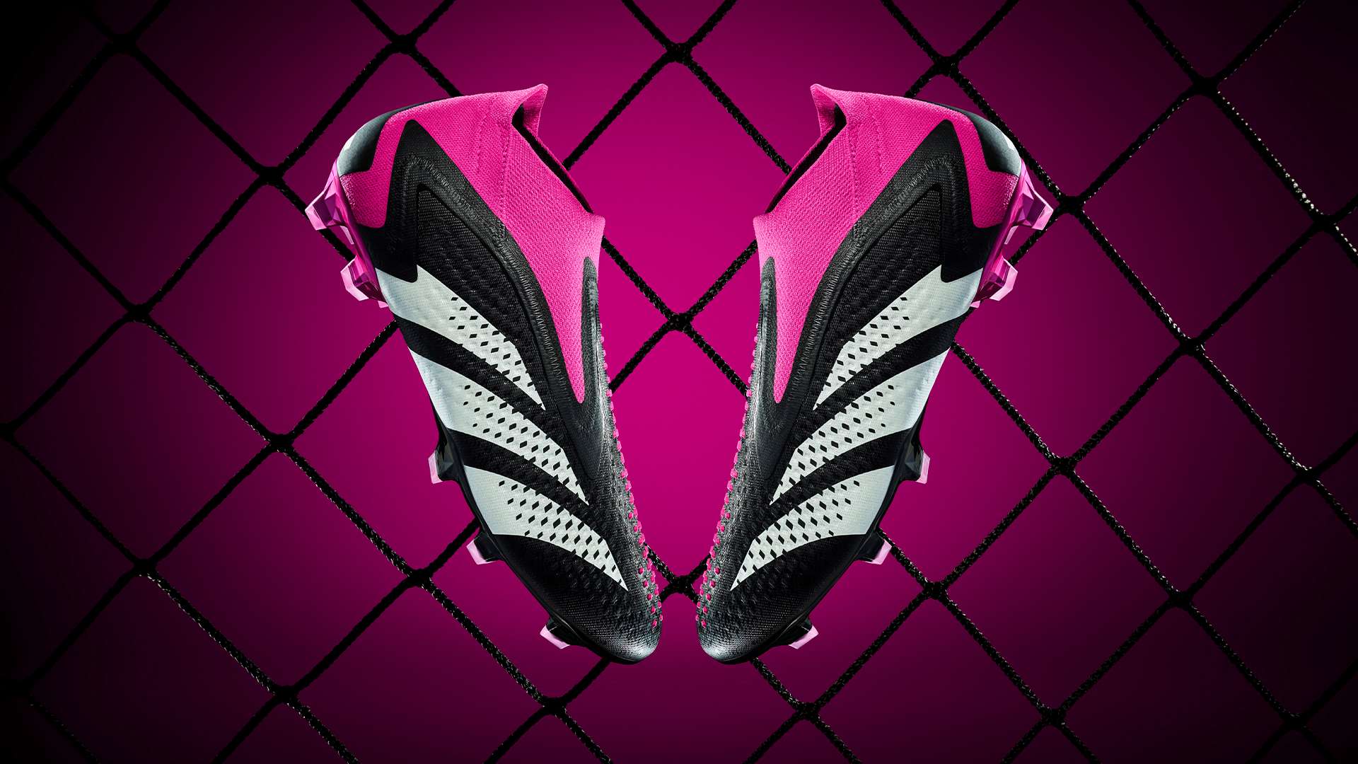 也成为她们 也成为她们