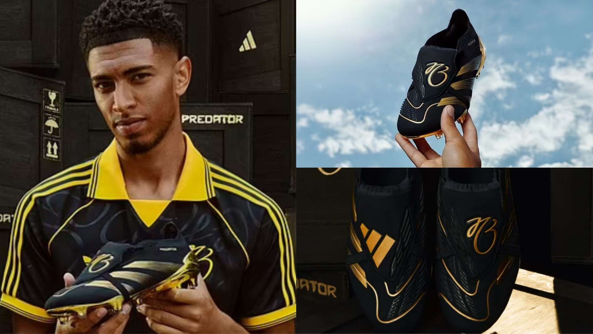 展望未来 展望未来